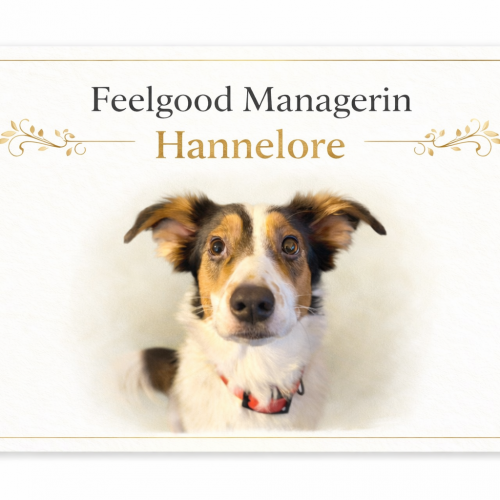 file_00000000a45c71f59027ffa5ed4944fb (1)